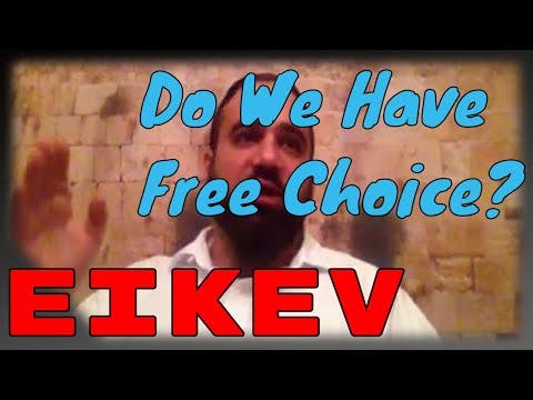 Shiur Torah #39 Parashat Eikev, Why More Details of Punishment vs Reward, Do we Have Free Choice?