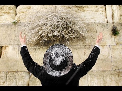Is Your Emunah Enough To Survive Suffering - MUSSAR Pirkei Avot (56)