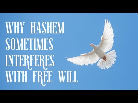 WHY HASHEM SOMETIMES INTERFERES WITH FREE WILL?