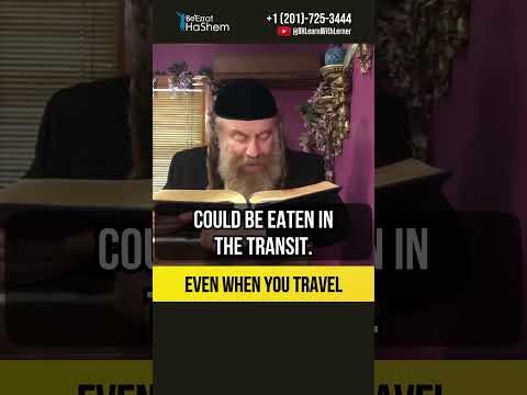 Even when you travel 💎 Applying Torah in your daily life #shorts #torah