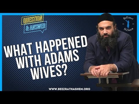   WHAT HAPPENED WITH ADAMS WIVES