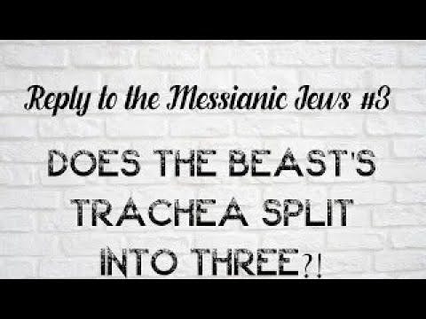Reply To The Messianic Jews #3- Does The Beast's Trachea Split Into Three? W/English Subtitles