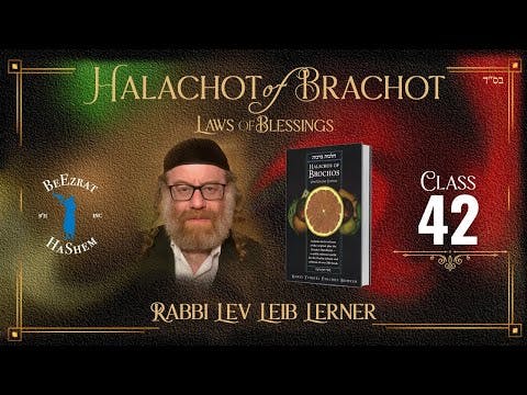 Al Hamichya, Al Hagefen and Al Hoetz - Halachos of Brochos (42)