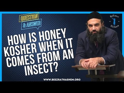 HOW IS HONEY KOSHER WHEN IT COMES FROM AN INSECT?