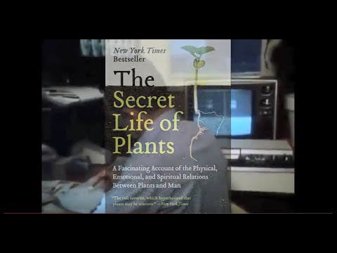 The Scientist That Proved Wasting Seed Is Murder (BeEzrat HaShem Inc. Films)