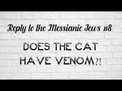 Reply To The Messianic Jews #8 - Does The Cat Have Venom? by Rabbi Efraim Kachlon W/English Subs