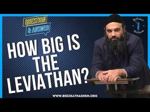   How big is the leviathan