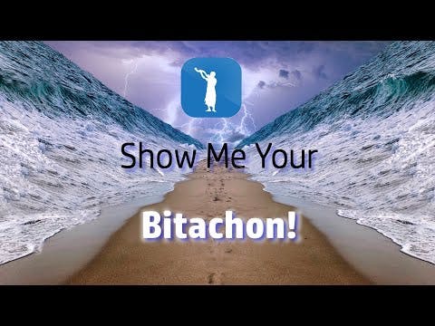 Show Me Your Bitachon!  (Bitachon #17)