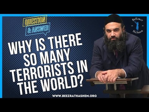WHY IS THERE SO MANY TERRORISTS IN THE WORLD?