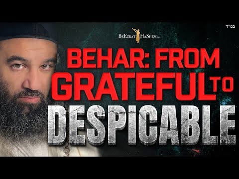 BEHAR: From Grateful To Despicable - STUMP THE RABBI (204)