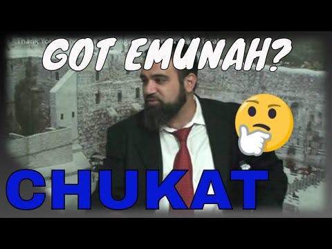 Shiur Torah #105 ParaShat Chukat, A Little (Big) Thing Called Emunah!!!!