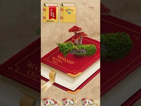 🌾 Коцаир - Жатва (срезка), сбор урожая (2)