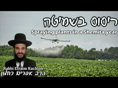 Spraying Plants In A Shemita Year