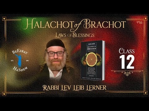 What Does HaMotzi Cover? -  Halachos of Brochos (12)
