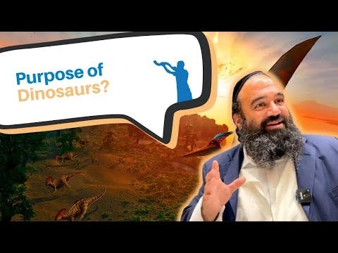 What was the purpose of Dinosaurs?