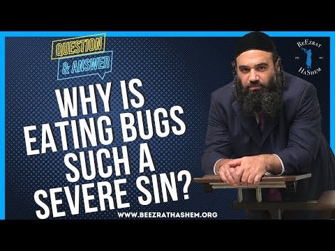   WHY IS EATING BUGS SUCH A SEVERE SIN