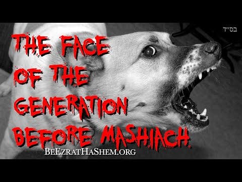 The Face of the Generation Before MaShiach