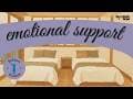 Q&A - Jewish Women & Modesty