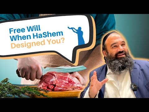 How does someone have free will if Hashem designed them in a certain way?