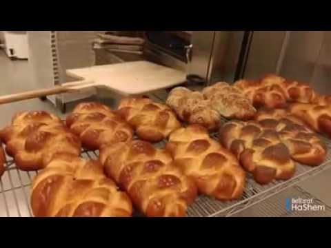 Divine Knowledge In The Torah: Kosher Food Secrets  (4 minutes)