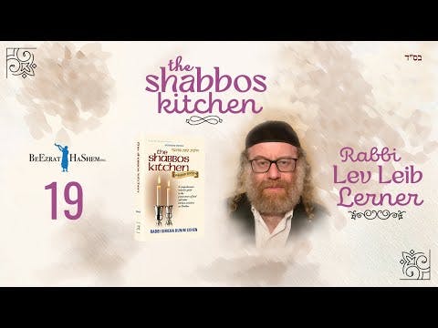 Practical Application of Kneading & Melacha of Marinating and Salting - The Shabbos Kitchen (19)