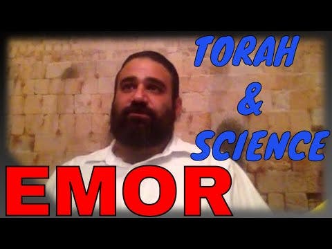 Shiur Torah #27 Parashat Emor, Child Education, Kohanim, Scientific Proofs of Torah & More