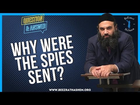 WHY WERE THE SPIES SENT?