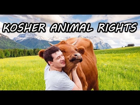 KOSHER ANIMAL RIGHTS