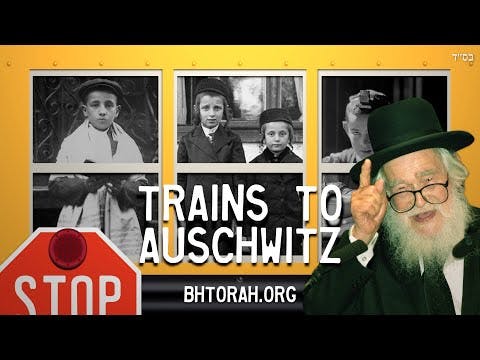 Rav Elazar Shach - Like The Train To Auschwitz