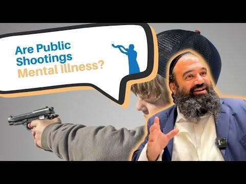 Are public shootings done by people with mental illness?