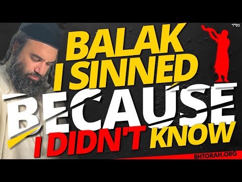 BALAK: I SINNED BECAUSE I DIDN'T KNOW - STUMP THE RABBI (209)