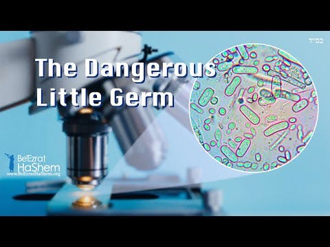 The Dangerous Little Germ