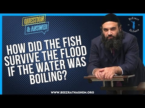   HOW DID THE FISH SURVIVE THE FLOOD IF THE WATER WAS BOILING