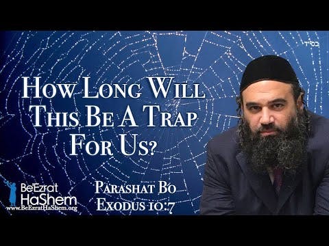 How Long Will This Be A Trap For Us? Parashat Bo
