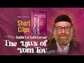 Laws of Yom Tov - Clips