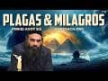 SECRETOS DE LAS PLAGAS DE EGIPTO