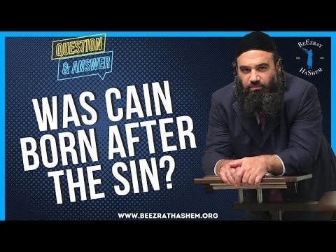 WAS CAIN BORN AFTER THE SIN?