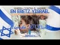 TEAM HASHEM
