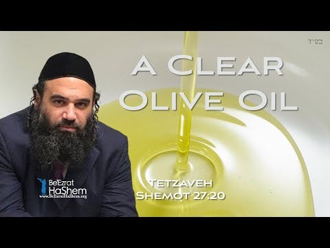 Shemen Zayit Zach - Making A Clear Olive Oil - Parashat Tetzaveh