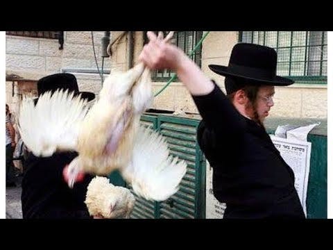 Is There A Problem With Doing Chicken Kaparot Before Yom Kippur? (12 Minutes)
