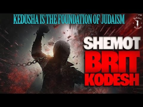 SHEMOT: BRIT KODESH - Stump the Rabbi (188)