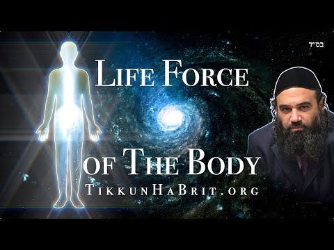 The Life Force of The Body