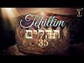 Tehillim תהילים