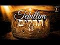 Tehillim תהילים